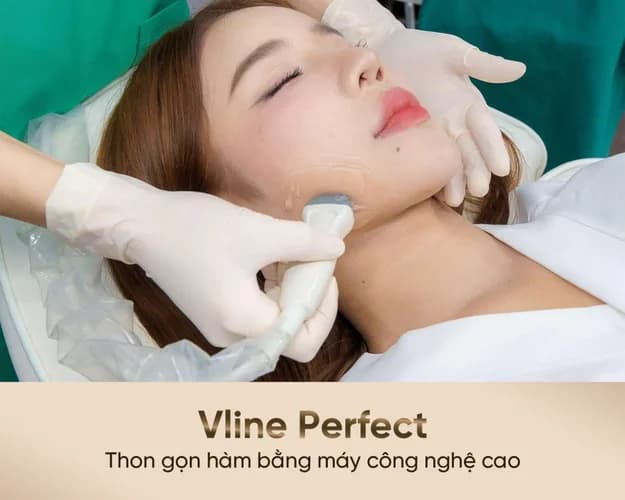 Vline Perfect